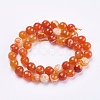 Natural Striped Agate/Banded Agate Beads Strands G-P364-20-8mm-2