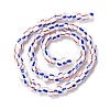 Handmade Lampwork Beads Strands BLOW-K001-01B-10-3