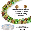 DIY Natural Regalite/Imperial Jasper/Sea Sediment Jasper Beads Bracelets  Making KIts DIY-TA0002-69D-4