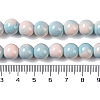 Baking Paint Glass Bead Strands GLAA-H031-01C-10-5
