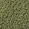 MIYUKI Round Rocailles Beads X-SEED-G007-RR4474-3