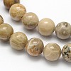 Natural Fossil Coral Round Bead Strands X-G-N0166-05-6mm-2