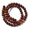 Natural Red Snakeskin Jasper Beads Strands G-H298-A02-02-3