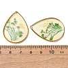 Brass & Transparent Epoxy Resin & Dried Flower Pendants RESI-G133-02G-05-3