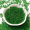 Transparent Colours Glass Seed Beads SEED-P006-02A-07-2