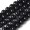 Natural Black Lip Shell Beads Strands SSHEL-C013-01D-1