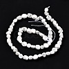 Natural Howlite Beads Strands G-G018-49-2