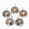 Natural Tiger Eye Pendants G-S292-10E-P-1