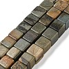 Natural Polychrome Jasper/Picasso Stone/Picasso Jasper Beads Strands G-Q1008-B13-1
