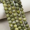 Natural Taiwan Jade Beads Strands X-GSR032-5