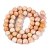Imitation Lamowork Glass Beads Strands GLAA-Q106-07A-07-2