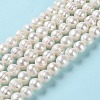 Natural Cultured Freshwater Pearl Beads Strands PEAR-E018-02-2