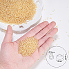 FGB 12/0 Transparent Glass Seed Beads SEED-OL0001-02-02-2