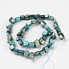 Shell Beads Strands X-PBB051Y-2