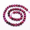 Natural Tiger Eye Beads Strands G-G544-12mm-02-2
