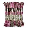 10 Skeins 6-Ply Polyester Embroidery Floss OCOR-K006-A77-1