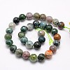 Natural Indian Agate Beads Strands X-G-G542-8mm-19-2