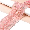 Natural Rose Quartz Beads Strands G-I351-B05-4