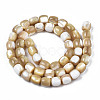 Natural Trochid Shell/Trochus Beads Strands SSHEL-N027-130B-02-2