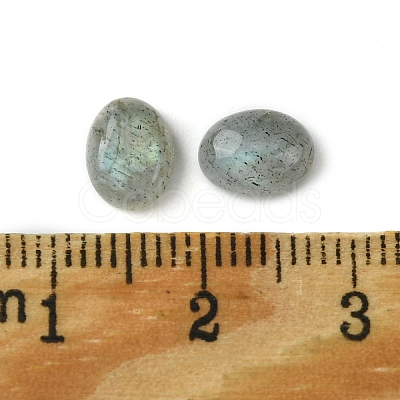 Natural Labradorite Cabochons G-A094-01B-11-1