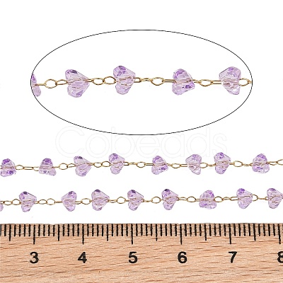 Glass & 304 Stainless Steel Beaded Chains SA-CBAD321-04D-1
