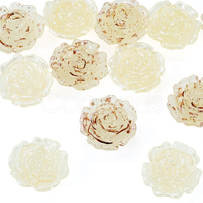 12Pcs 2 Colors Transaprent Resin Enamel Cabochons CRES-TA0001-91-1
