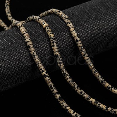 Natural Dalmatian Jasper Beads Strands G-L528-10-1