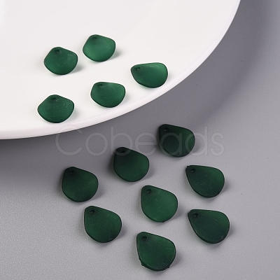 Transparent Frosted Acrylic Pendants MACR-S371-09A-735-1