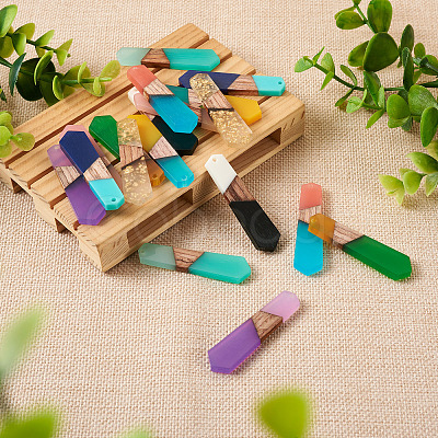 18Pcs 9 Styles Resin & Walnut Wood Pendants RESI-BT0001-25-1