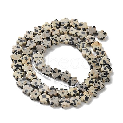 Natural Dalmatian Jasper Beads Strands G-B138-C08-01-1
