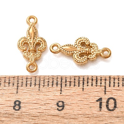 304 Stainless Steel Connector Charms STAS-N124-53G-1