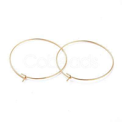 316 Surgical Stainless Steel Hoop Earring Findings STAS-J025-01E-G-1