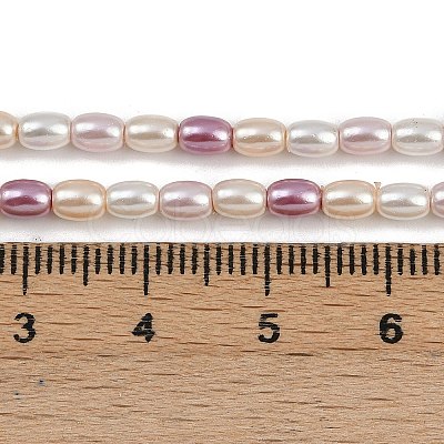 Electroplated Shell Pearl Beads Strands BSHE-H113-06B-01-1