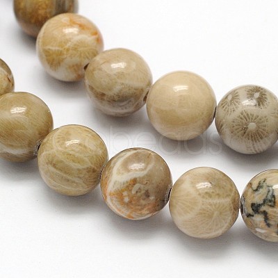 Natural Fossil Coral Round Bead Strands X-G-N0166-05-6mm-1