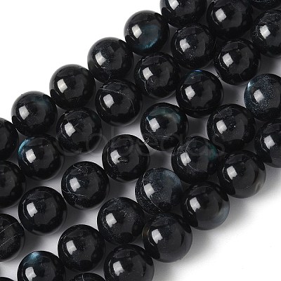 Natural Black Lip Shell Beads Strands SSHEL-C013-01D-1