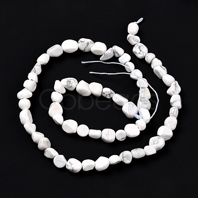 Natural Howlite Beads Strands G-G018-49-1