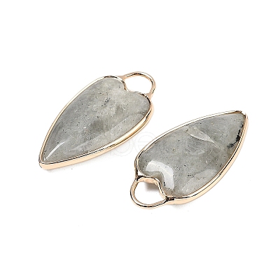 Natural Labradorite Pendants G-G193-02G-05-1