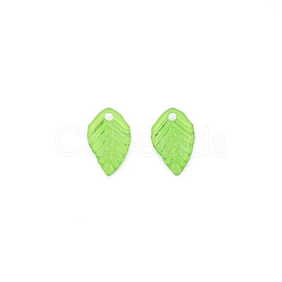 Transparent Acrylic Charms X-TACR-T012-04-1