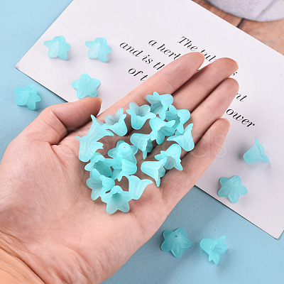 Transparent Acrylic Beads PLF018-13-1
