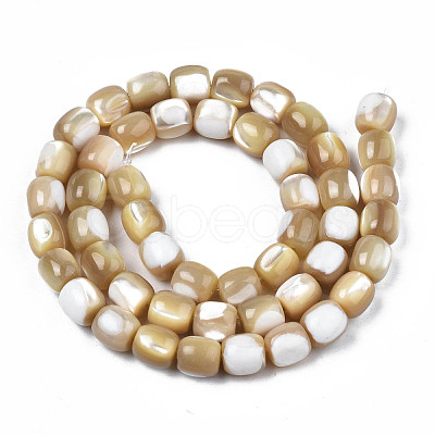 Natural Trochid Shell/Trochus Beads Strands SSHEL-N027-130B-02-1