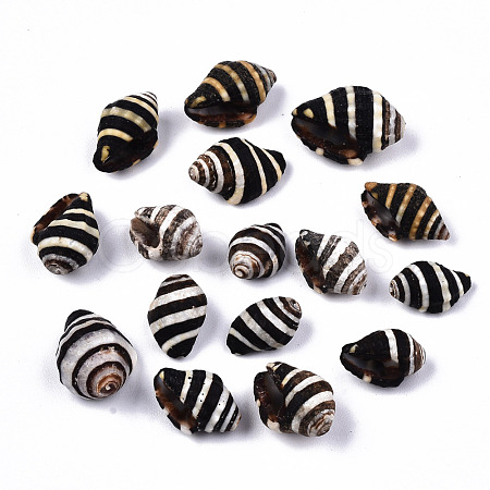 Natural Spiral Shell Beads SSHEL-T014-06-1