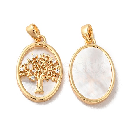 Brass Shell Pendants X-KK-M243-34G-1