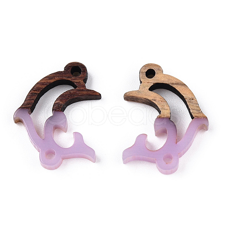 Opaque Resin & Walnut Wood Connector Charms RESI-N039-46G-1