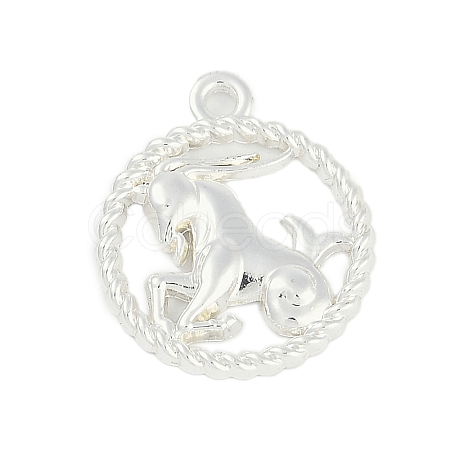 Twelve Constellations Alloy Pendants PALLOY-Q006-01C-S-1