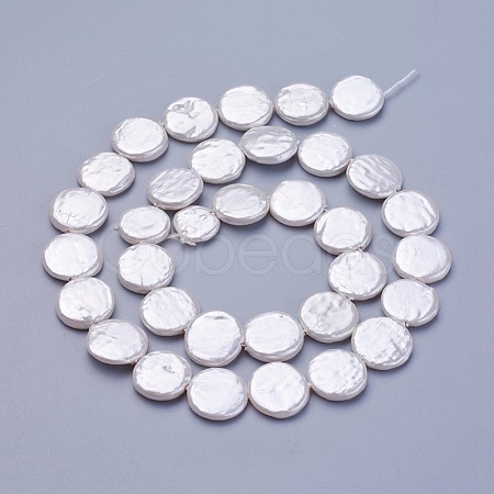 Shell Pearl Beads Strands BSHE-P030-01B-1