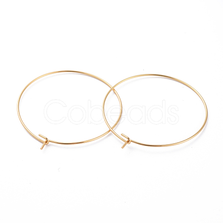 316 Surgical Stainless Steel Hoop Earring Findings STAS-J025-01E-G-1