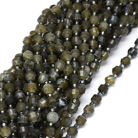 Natural Larvikite Beads Strands G-O201B-27-1