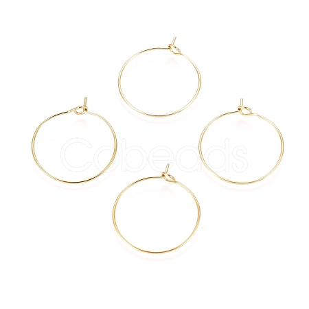 Ion Plating(IP) 316L Surgical Stainless Steel Hoop Earring Findings X-STAS-D164-05G-1