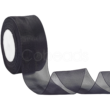 1 Rolls Sheer Organza Ribbon SRIB-CY0001-22C-09-1