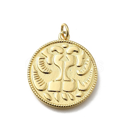 Brass Pendants KK-C090-41G-03-1